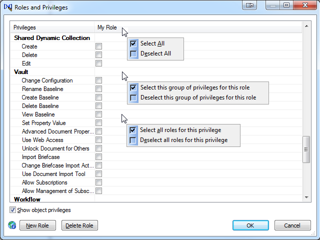 A screen shot of the Roles and Privileges window.